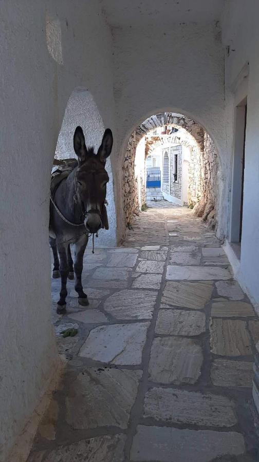 Baros View Lägenhet Apérathos Exteriör bild